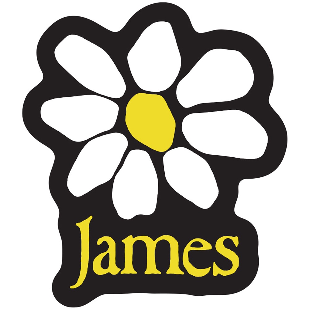James - Yellow Logo White Daisy Sticker - Black/Multicolours